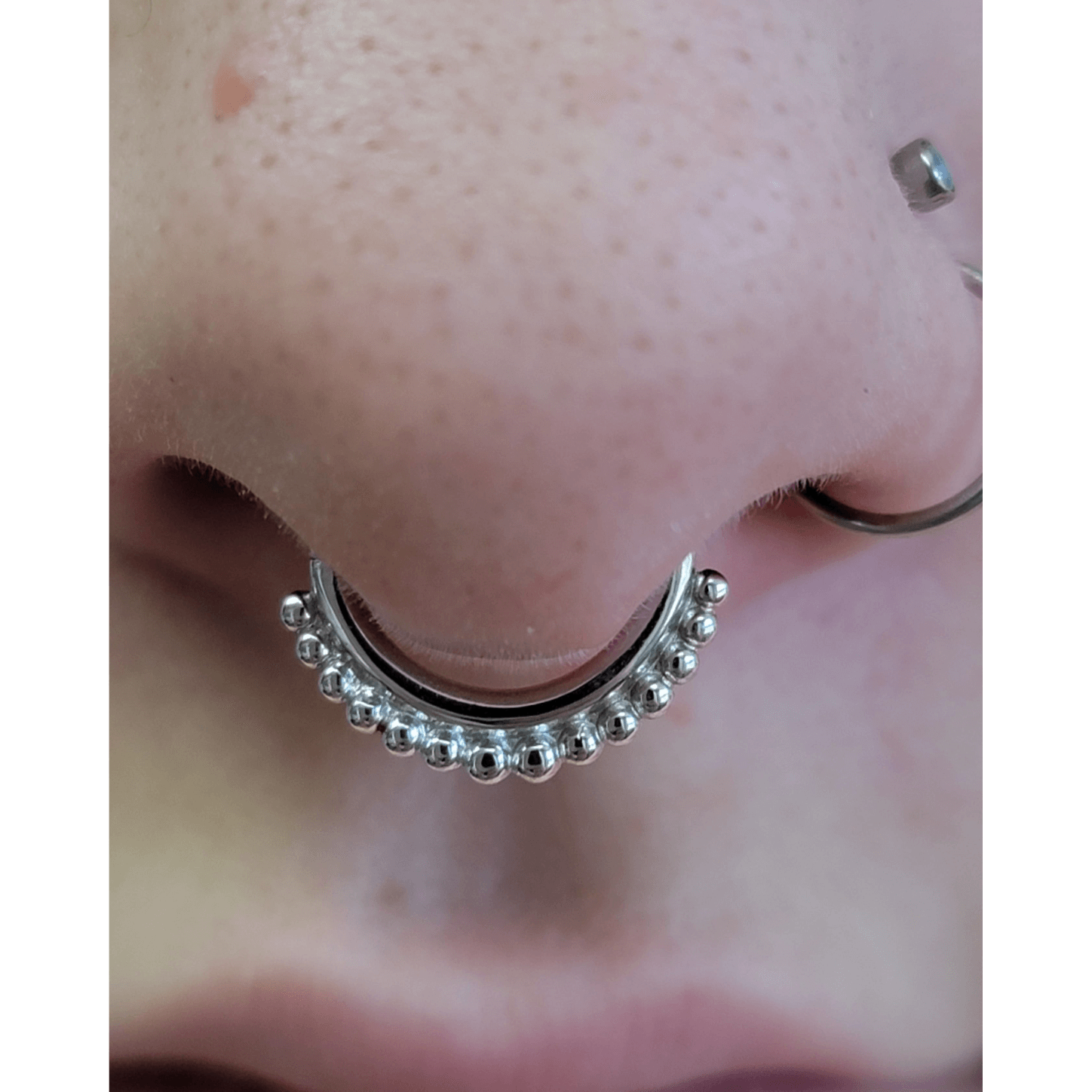 Septum piercing done with solid 14k white gold